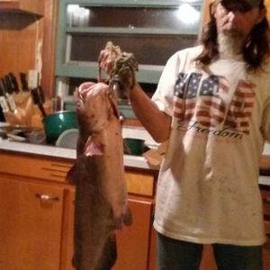 Meet your Posher, Kerry